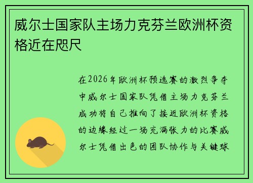 威尔士国家队主场力克芬兰欧洲杯资格近在咫尺 威尔士国家队主场力克芬兰欧洲杯资格近在咫尺